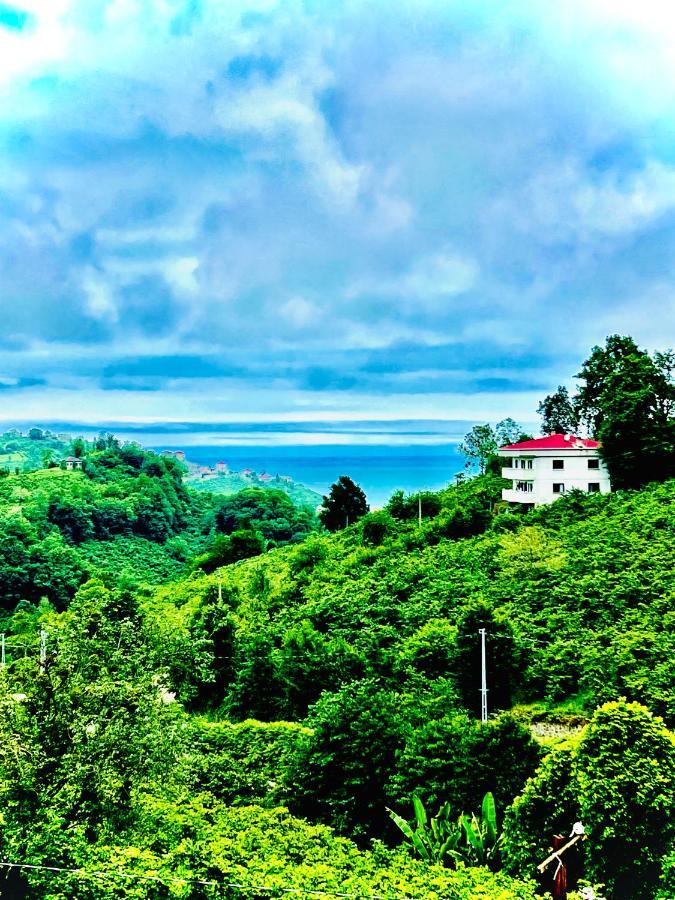 Five Stars Apart Trabzon Exterior foto