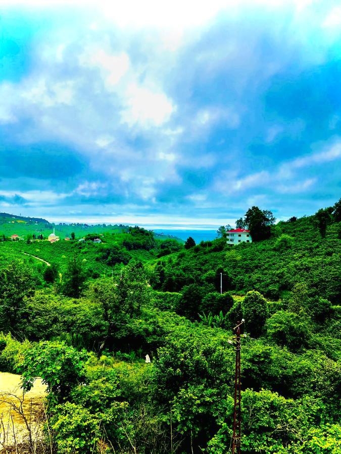 Five Stars Apart Trabzon Exterior foto